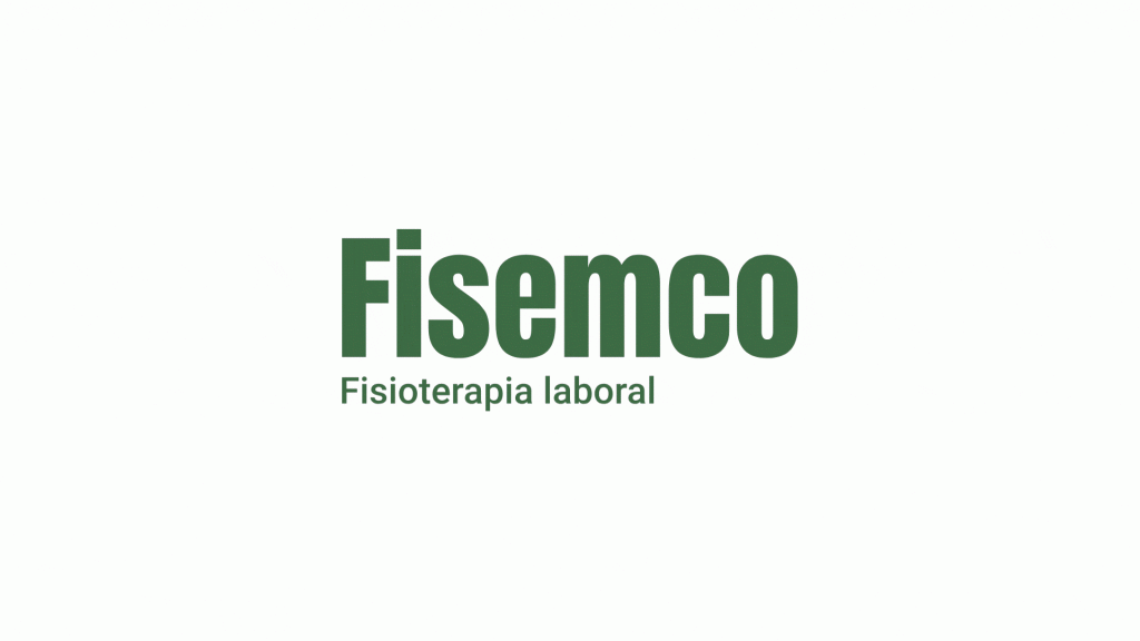 portfolio fisemco fisioterapia laboral estrategia de marca